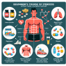 Qué pasa si usas Cursos de esteroides para principiantes sin cambiar la dieta
